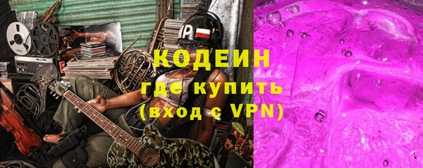 хмурый Абаза