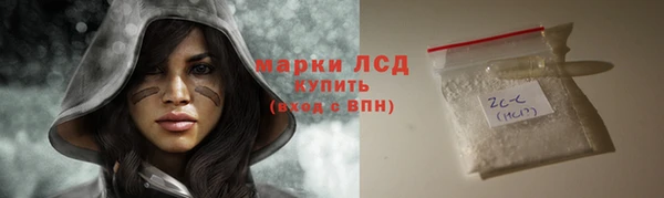 хмурый Абаза